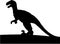 Raptor silhouette, black and white vector image.