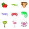 Rare animal icons set, cartoon style