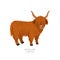 Rare animals collection. Highland cattle. Scottish breed of long-haired cattle. Flat style vector illustration isolated