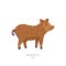 Rare animals collection. Mangalica pig. Pig breed having a long curly coat like a sheep. Flat style vector illustration