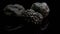 Rare black truffle mushroom on black background