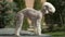 A rare breed of bedlington terrier bred for hunting