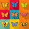 Rare butterfly icons set, flat style