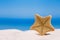 Rare deepwater starfish with ocean, on white sand beach, sky and