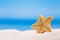 Rare deepwater starfish with ocean, on white sand beach, sky and