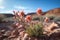 rare desert flowers thriving in harsh terrain