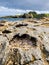 Rare Dinosaur footprint of the sauropod-dominated tracksite from Rubha nam Brathairean, Brothers Point - Isle of Skye