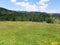 Rare flower-rich hay meadows in Gyimes, Transylvania