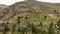 Rare Footage: Drone's Cinematic Capture of Epic Mountain Landscape with Aerial View of Grazing Sheep Herd