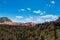 Rare landscape of South Guardian Angel from the top. Hoodoo and trees, Zion National Park - Image. Blue sky, bright colors