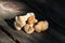 Rare mushroom yellow Hydnum repandum