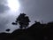 A rare panoramic scene of green hills with white clouds in the sunny sky