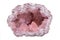 Rare Pink Amethyst Geode Cluster from Patagonia, Argentina. Isolated on white