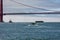 Rare sighting of mother humpback whale fluke , Megaptera novaeangliae, swimming with baby in San Francisco Bay with Golden Gate Br