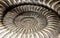 Rare spiral-shaped shell ancient fossil