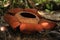 Rare tropical giant flower rafflesia arnoldii in full bloom in Borneo island rainforest mountains