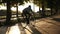 Rare view young man cycling a bicycle in the morning park or boulevard by paved road . Slow motion of young man riding a
