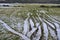 Rare winter view of typical Irish farm with tractor wheels prints on grass in Ticknock, Co. Dublin, Ireland