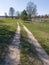 Rarely used country road in sunny spring day