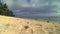 Rarotonga Cook Islands Beach Time Lapse Of Girl Walking On Tropical South Pacific Reef In Polynesia