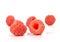 Rasberry on white background.