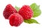 Raspberries