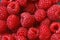 Raspberries