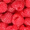Raspberries - berry background texture