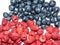 Raspberries and bilberries fruits - fresh fruits