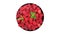 Raspberries on a black dish. Top view. Loop motion. Rotation 360.