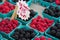 Raspberries and blackberries for sale at farmers\' market