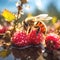 raspberries blooming pink flowers ,bee and butterfly sitting on fruits, mandarin,olives,with drops of morning dew watercherry