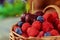 Raspberries and blueberries in a basket with handle and couple cherries