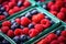 Raspberries and blueberries in a wooden box. Selective focus, Farmers Market Berries Assortment Closeup. Strawberries, Blueberries