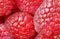 Raspberries close up