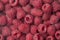 Raspberries close up