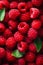 Raspberries: Closeup of leaves with rich, deep pink color