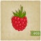 Raspberries eco background