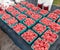 Raspberries at Farmers Market