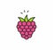Raspberries icon