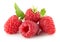 Raspberries isolated on the white background