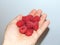 Raspberries in a person\'s hand. Fresh raspberry