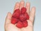 Raspberries in a person\'s hand. Fresh raspberry