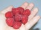 Raspberries in a person\'s hand. Fresh raspberry