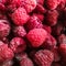 Raspberries, red frozen berry small fruit. Seamless background with red fruit and berries.
