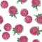 Raspberries seamless pattern. Vector hand drawn illustration.