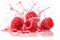 raspberries splash water photography in white background
