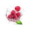 Raspberries with spray of water