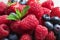 Raspberries, strawberries, blueberries and mint