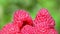 Raspberries super close up 4K stock footage. Raspberries in macro close up with a sliding camera move.Movement in a